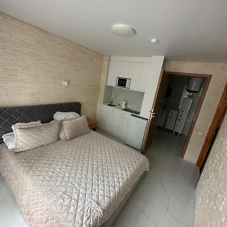 777 - Poilsio Namai Prie Birutes Parko Ir Juros Palanga