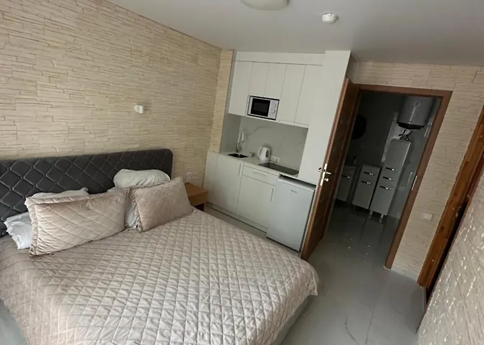 777 - Poilsio Namai Prie Birutes Parko Ir Juros Palanga